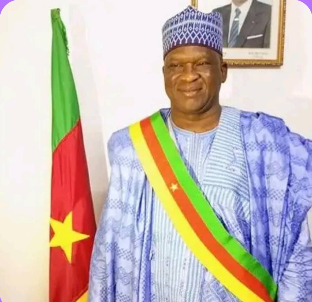 Assainissement à Maroua 1er : Tolérance zéro contre la divagation des animaux et les constructions anarchiques à Hardé et Biéré